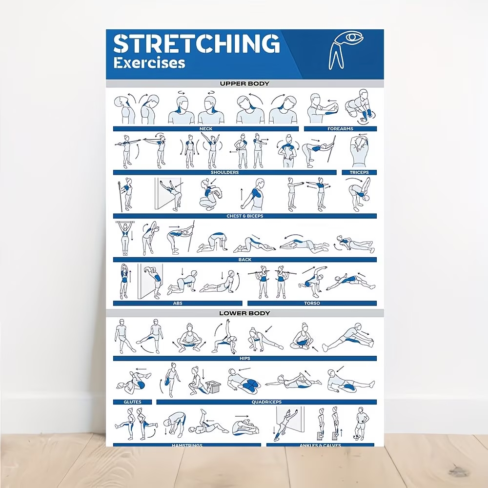 Home Gym Setup - Modern Labeled Full-Body Stretches For Gym