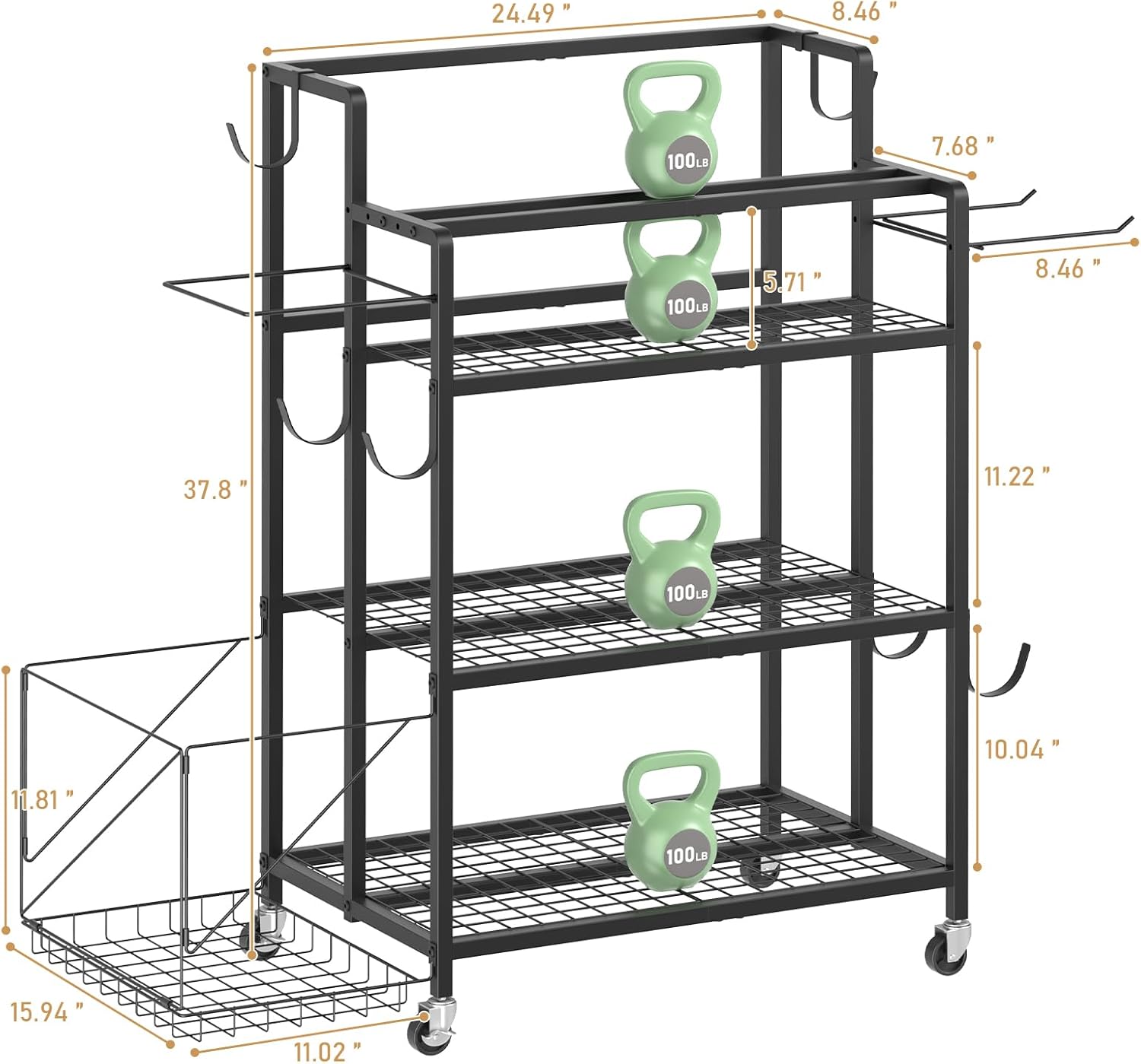 Home Gym Storage, No Material  - Home Gym Dumbbell Workout incelemesi ve fiyatı