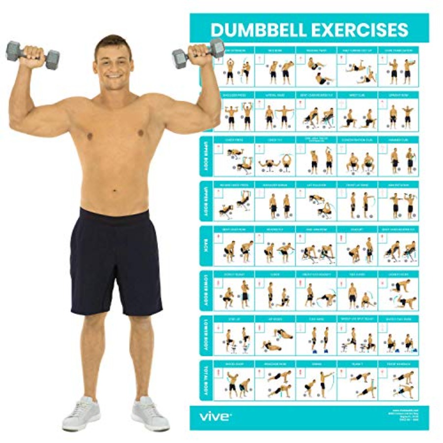 Dumbbell Workout Poster - Home - Home Gym Dumbbell Workout incelemesi ve fiyatı