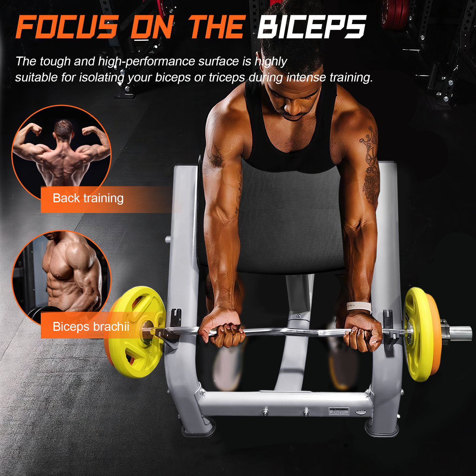 Seated Isolated Barbell Dumbbe - Home Gym Dumbbell Workout incelemesi ve fiyatı