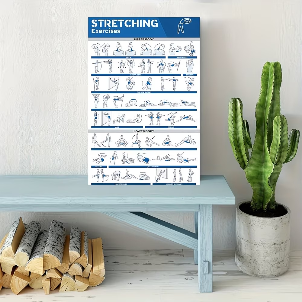Modern Labeled Full-Body Stret - Home Gym Setup incelemesi ve fiyatı