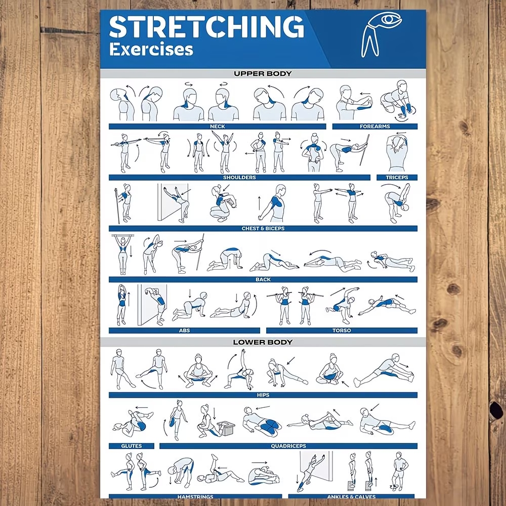 Modern Labeled Full-Body Stret - Home Gym Setup incelemesi ve fiyatı