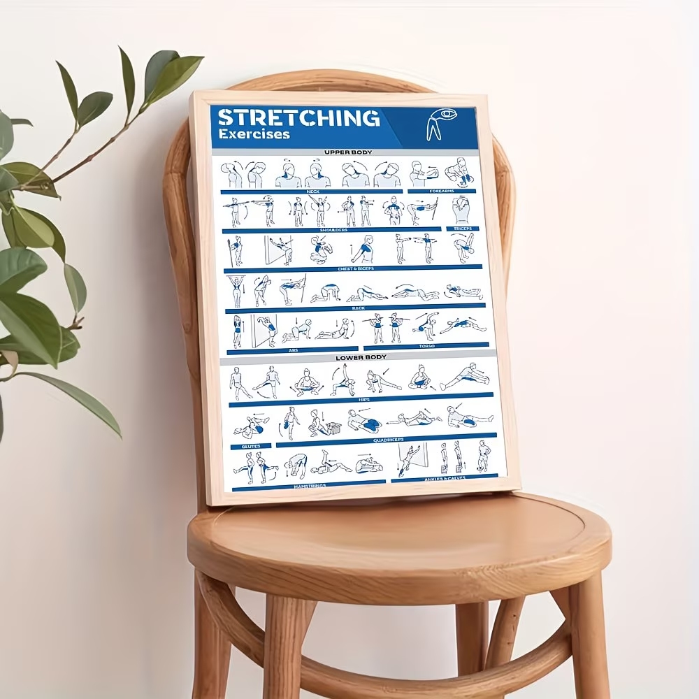 Modern Labeled Full-Body Stret - Home Gym Setup incelemesi ve fiyatı